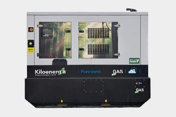 grupo electrogeno gas